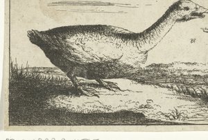 Landschaft mit Wildgans von Anonymous