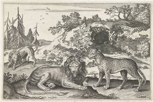 Löwen und Leopard