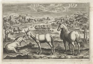 Pferd und Esel von Anonymous