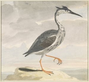 Reiher