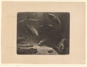 Hecht, Rochen, Plattfisch, Krabbe, Aal und andere Fische von Anonymous