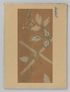 Textilfragment
