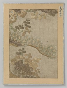Textilfragment
