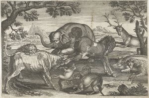 Kämpfende Tiere