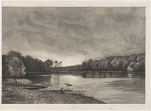 Teich mit zwei Reihern