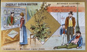 Absinth: Medizin und tödlicher Likör. Werbechromolithographie für Guerin-Boutron-Schokoladen, Ende 19. Jahrhundert. Illustrierte Botanische Serie.