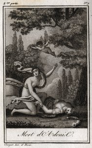 Der Tod des Adonis. Gravur von 1819 in „Lettres a Emilie sur la mythologie“ von Charles Albert Demoustier (1760-1801). Private Sammlung von Anonymous Anonymous