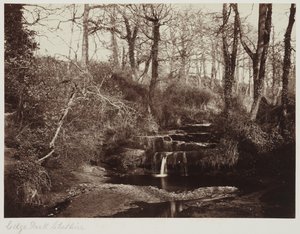 Edge Park, Cheshire, ca. 1865 von Anonymous Anonymous