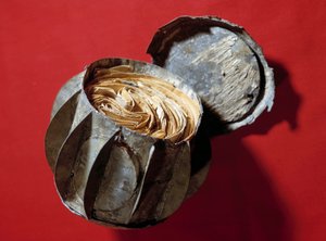 Les Boules de Moulins: Zinkkugeln, die während der Belagerung von Paris 1870 zum Postversand verwendet wurden. Sie wurden in die Seine geworfen und von den Bewohnern geborgen von Anonymous Anonymous