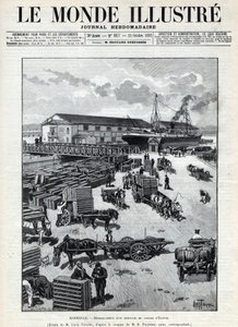 Maritimer Handel: Entladung einer Ankunft von Wachteln aus Ägypten im Hafen von Marseille. Eine Zeitung. Gravur in 