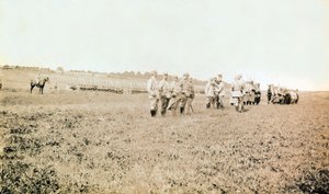 Fotografie aus einem persönlichen Album eines Infanterieleutnants während der ersten Monate des Ersten Weltkriegs