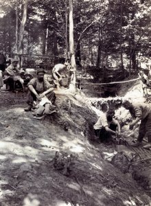 Fotografie aus einem persönlichen Album eines Infanterieleutnants während der ersten Monate des Ersten Weltkriegs