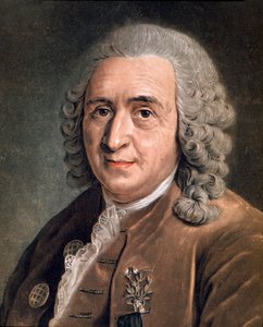 Porträt von Charles Linné (Carl von Linné, Linnéus 1707 - 1778), schwedischer Naturforscher. Anonymes Gemälde. 18. Jahrhundert. Mailand, private Sammlung von Anonymous Anonymous