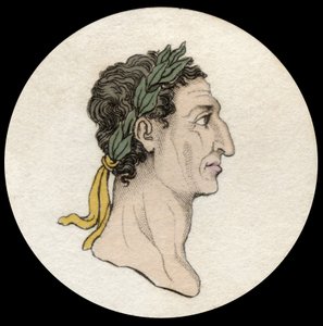 Porträt von Kaiser Nerva (Marcus Cocceius Nerva) (26-98 n. Chr.). Gravur des 19. Jahrhunderts. Mailänder von Anonymous Anonymous