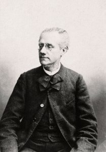 Porträt von Louis Eugene Pouillet (1835-1905), Anwalt