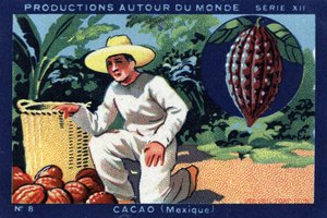 Produktionen rund um die Welt: Kakao in Mexiko. Chromolithographie von 1933 in „Joseph-Milliat Album“
