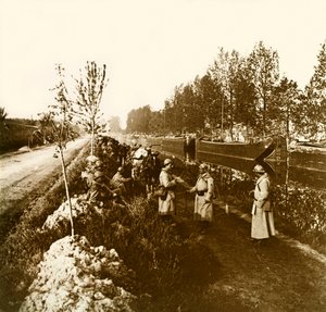 Stereoskopische Glasplatte über den Ersten Weltkrieg (1., Iere von Anonymous Anonymous