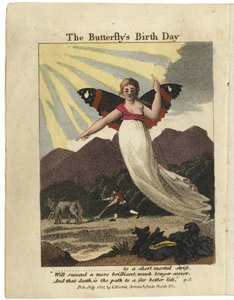 Titelseite von The Butterfly