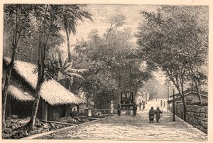 Ansicht einer Straße in Colombo auf Ceylon (Sri Lanka). Gravur in „Les Missions Catholiques au XIXème Siècle“ von Louis-Eugène Louvet. Private Sammlung. von Anonymous Anonymous