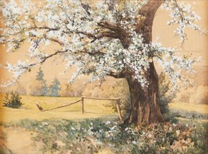 Blühender Baum