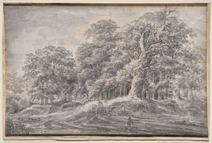 Ein Weg am Waldrand mit einem Bauern, der Schafe trägt von Anthonie Waterloo