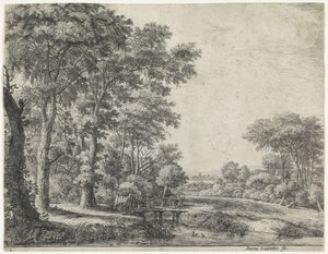 Waldrand mit einer Holzbrücke