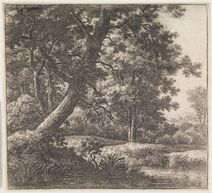Schief gewachsener Baum von Anthonie Waterloo