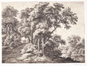 Waldweg an einem Fluss von Anthonie Waterloo