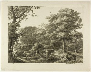 Der Wanderer ruht sich im Wald aus