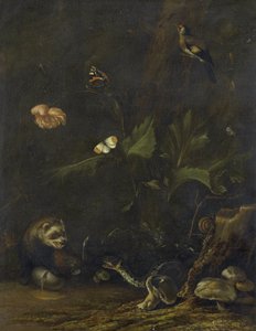 Tiere und Pflanzen von Anthonie van Borssom