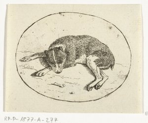 Liegender Hund