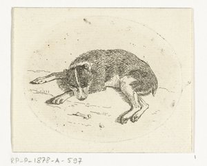 Liegender Hund von Anthonie van den Bos
