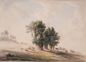 Landschaft