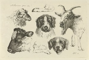 Tierköpfe und -beine (Serientitel: Studien von Kühen, Schafen und Ziegen)
