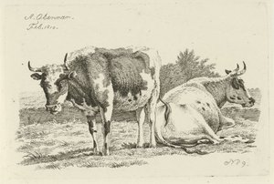 Stehende und liegende Kuh