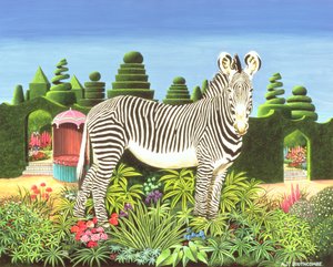 Zebra im Garten, 1977 von Anthony Southcombe