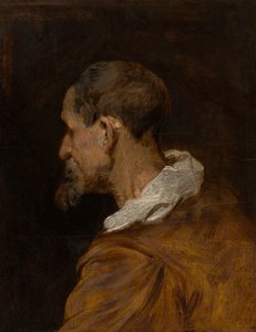 Kopfstudie von Anthony van Dyck
