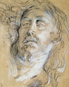Kopf des toten Christus von Anthony van Dyck