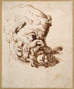 Studie eines antiken Kopfes von Silenus