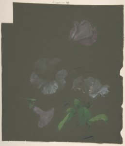 Floral Design von Antoine Berjon