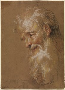 Kopf eines bärtigen alten Mannes von Antoine Coypel