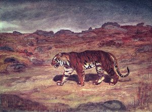 Ein Tiger jagt seine Beute von Antoine Louis Barye