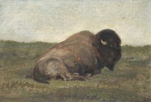 Liegender Bison, 1810-75