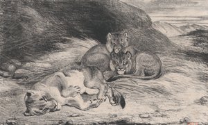 Löwin und Junge, möglicherweise 1832 von Antoine Louis Barye