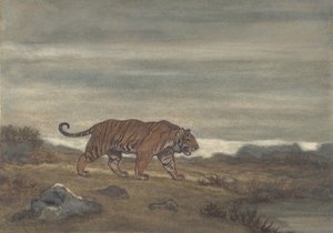 Tiger nähert sich dem Teich, 1810-75