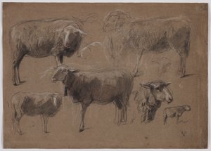 Studien von Schafen von Anton Mauve