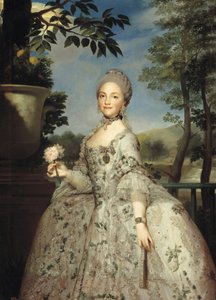 Porträt von Maria Luisa von Parma als Prinzessin von Asturien, ca. 1764-1765