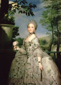 Porträt von Marie-Louise von Bourbon (1751-1819)
