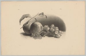 Äpfel, Beeren, Brombeere und Trauben