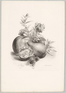 Blumen, Äpfel, Birne, Granatapfel und Brombeeren